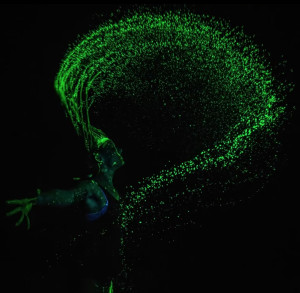 6 mind-bending tips to get started in UV photography